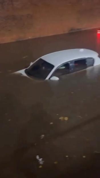 NINTCHDBPICT001038582106