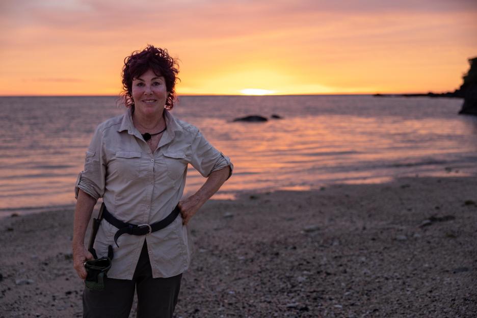 NINTCHDBPICT000812337908