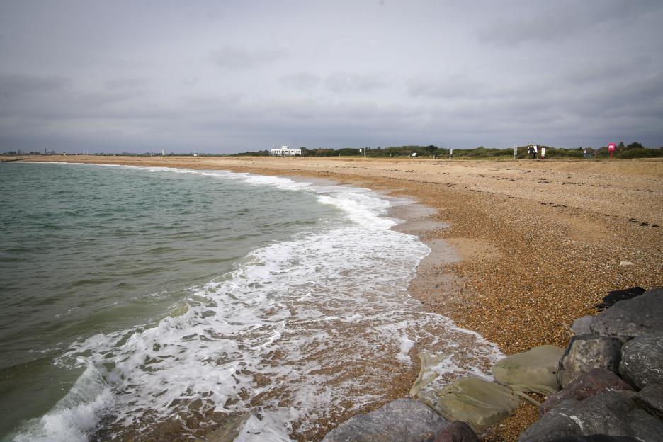 NINTCHDBPICT000851841494