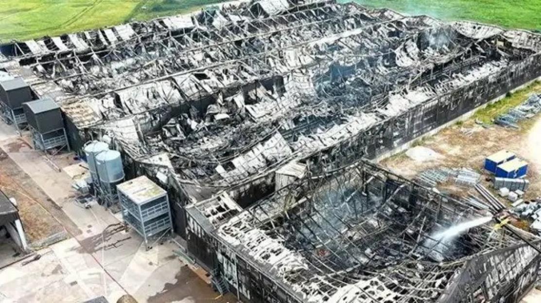 Aerial view of a burnt-out chicken shed at The Grange farm in Cheshire.