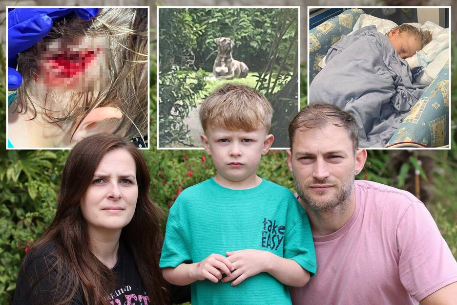 "Heroic Mom Fights Off Dog Attack to Protect Her Son While Cradling Infant Daughter"
