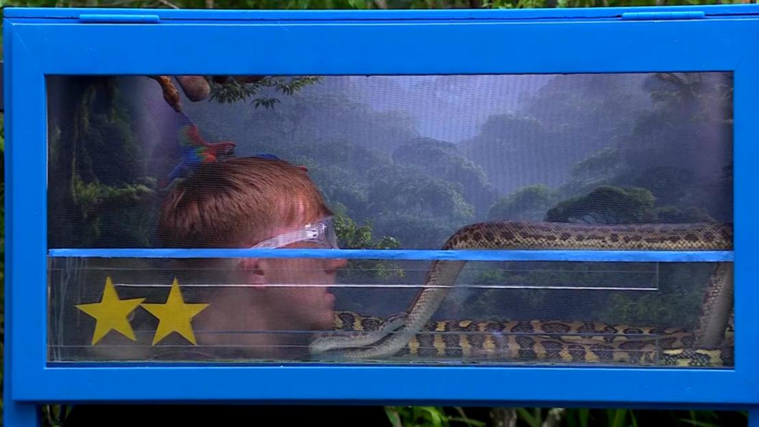AngryGinge in a blue box with a snake and two stars.