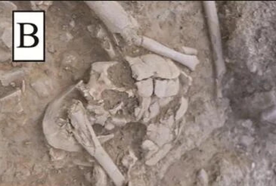 NINTCHDBPICT001082151768