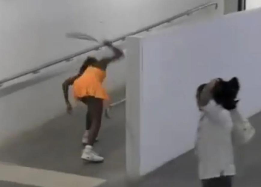 NINTCHDBPICT001054499388