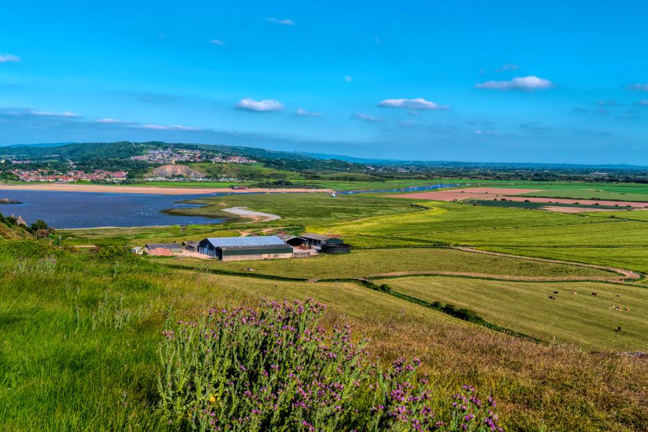 Brean Down view to Bleadon and the River Axe Somerset with countryside, fields and pink flowers