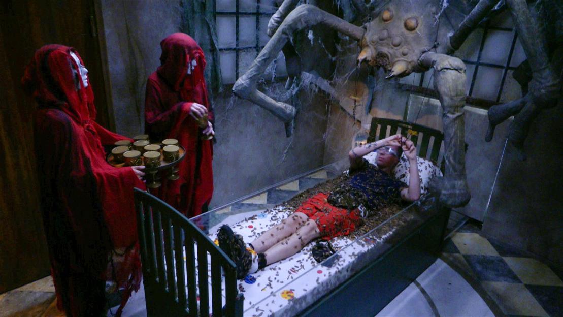 Ant and Dec's Hilarious Reaction as Aitch Faces a Hair-Raising Spider Challenge on I'm A Celeb!