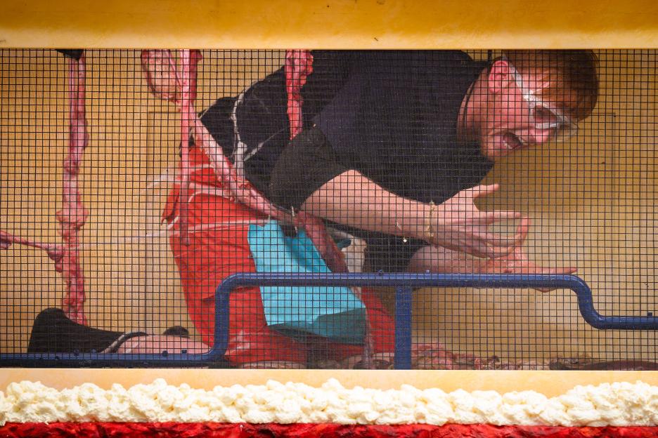 Angry Ginge completing a Bushtucker Trial, visible through a wire mesh, surrounded by cake.