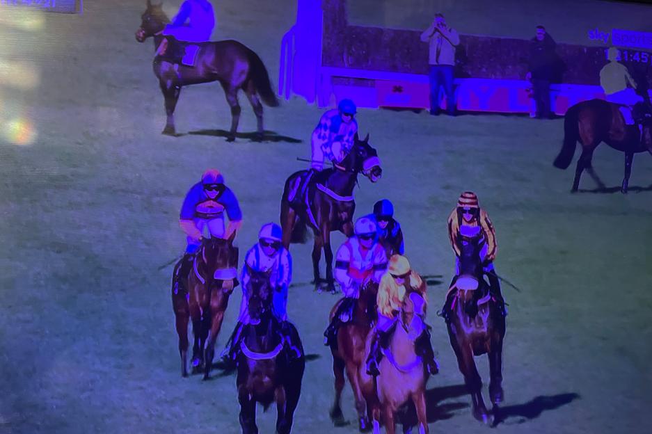 Plumpton in Turmoil: Chequered Flag Confusion Leaves Nearly Half the Drivers Stopped!