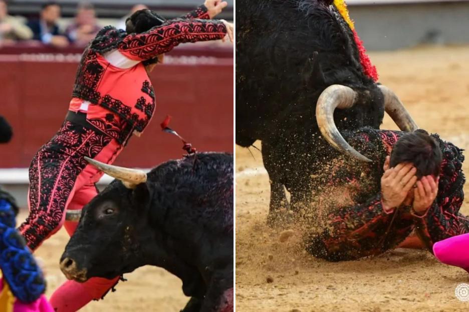Matador Horrifically Gored by Bull After Being Thrown Through the Air
