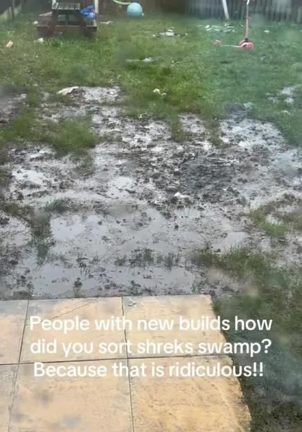 NINTCHDBPICT001057964280