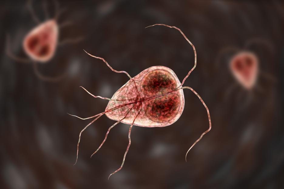 Surge in UK Parasite Tummy Bug Cases: Parents Warned for Summer Holidays as Symptoms Can Last for Months