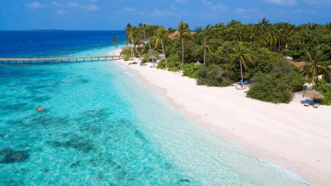 Maldive Island of Filaidhoo, lagoon, palm tree, coconut tree, Raa Atoll, Maldives, Asia, Filaidhoo, (Cocos nucifera)