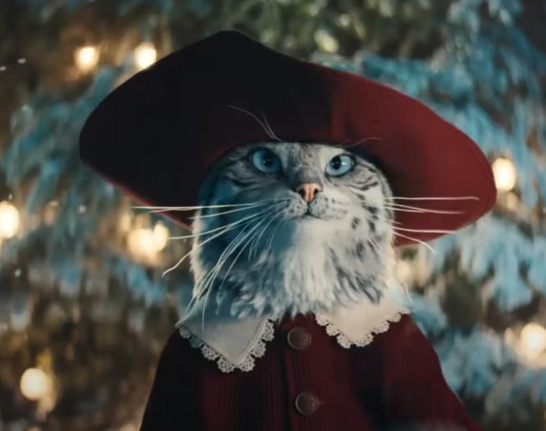 Owner's Heartwarming Surprise as Beloved Cat Stars in Boots' Christmas Ad!