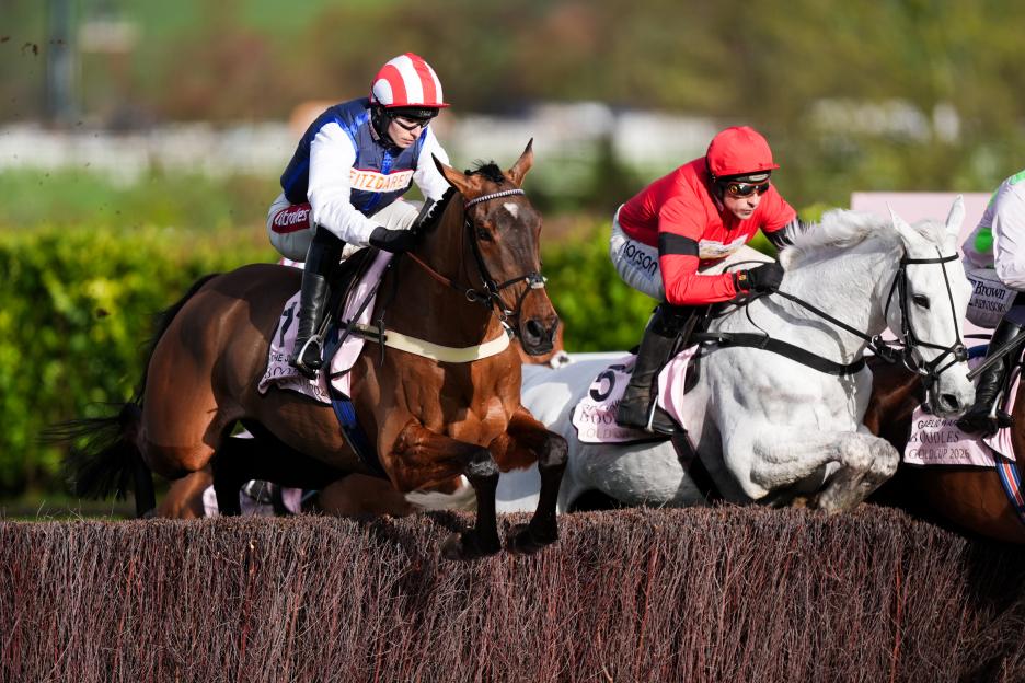 Cheltenham Festival 2026 - Gold Cup Day - Cheltenham Racecourse