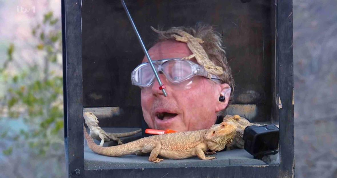 Harry Redknapp with his head inside a box, wearing safety glasses with a long needle pointing at his nose, and several lizards around his head, including one on his hair.