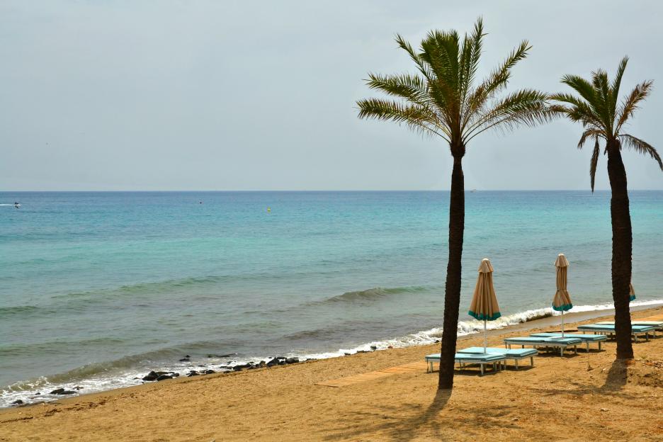 Marbella beach with palm trees, lounge chairs, and umbrellas by the water.