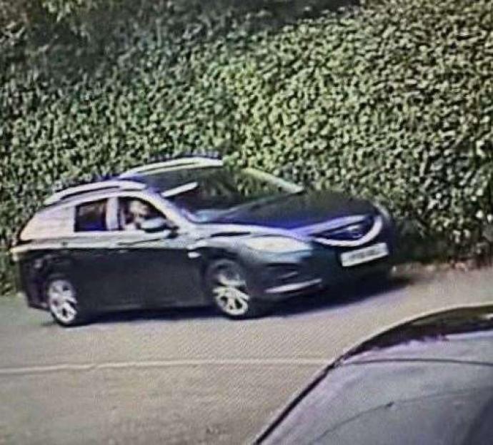 Dark-colored car suspected of kidnapping "Gandalf the goose".