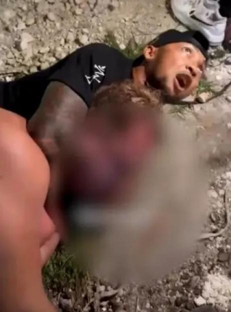 NINTCHDBPICT001070678988