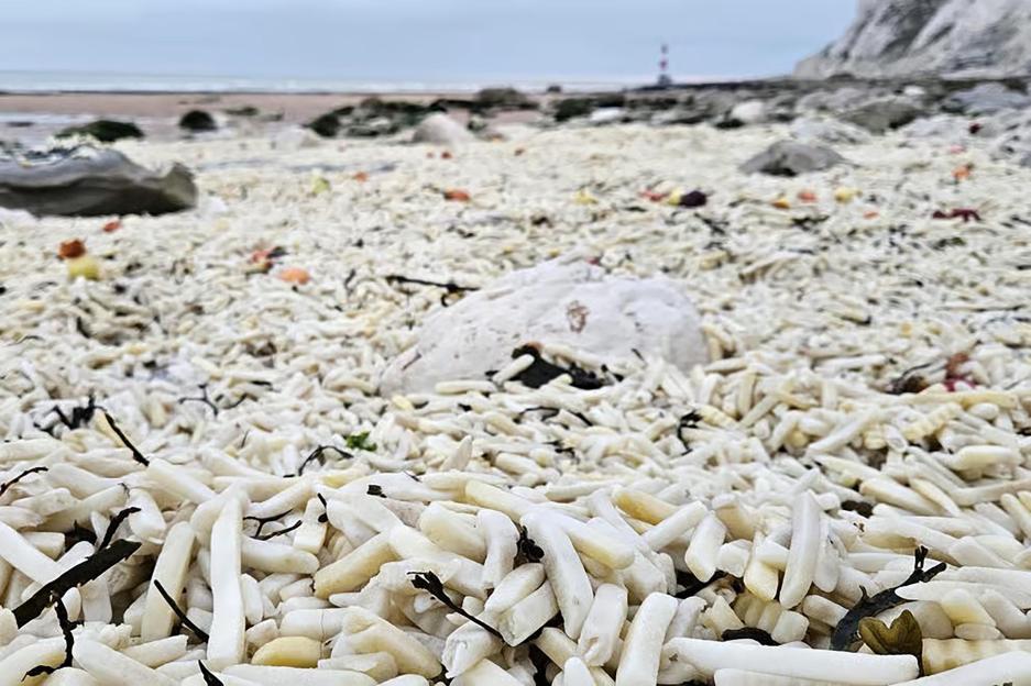 NINTCHDBPICT001052427872