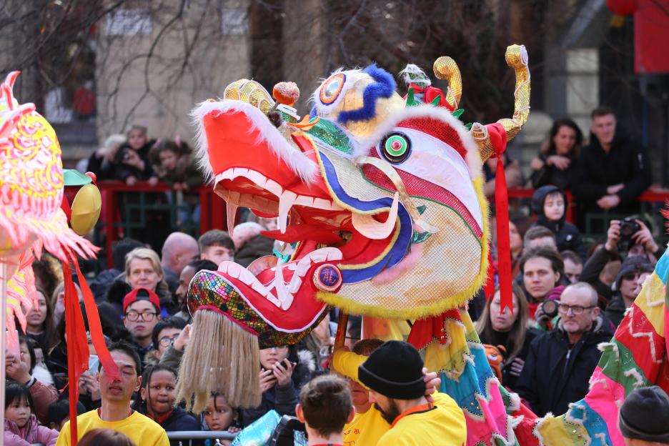 A large, colorful dragon head for a Chinese New Year celebration, with white teeth, red body, and gold scales, is carried through a crowd of people.