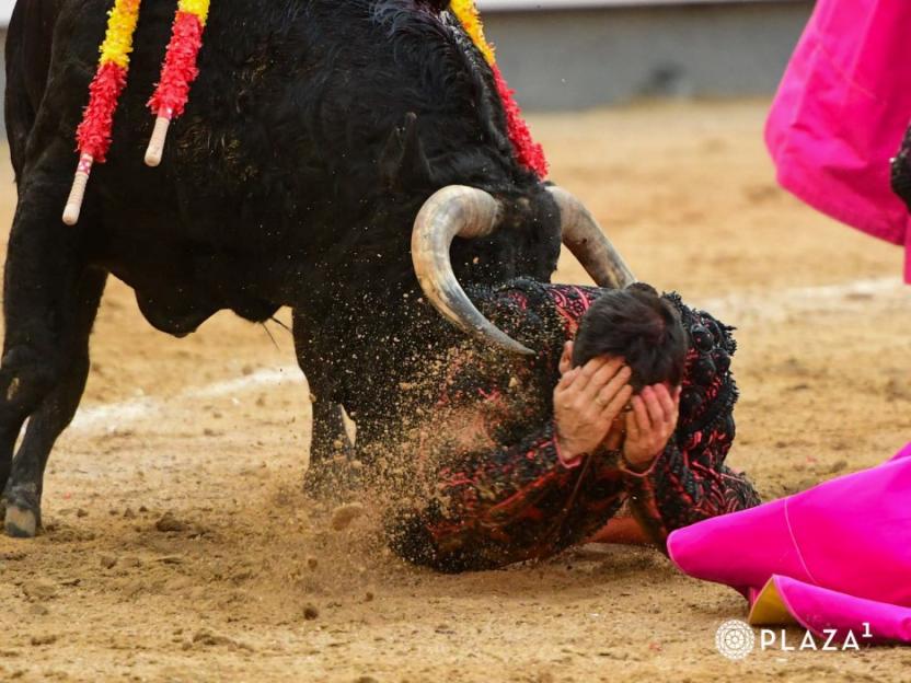 Matador covering face while a bull charges him, kicking up sand.