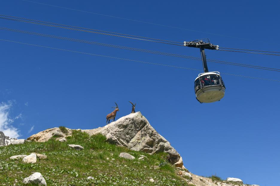 A Skyway Monte Bianco cable car ascends past a rock with ibex sculptures below on the Mont Blanc massif.