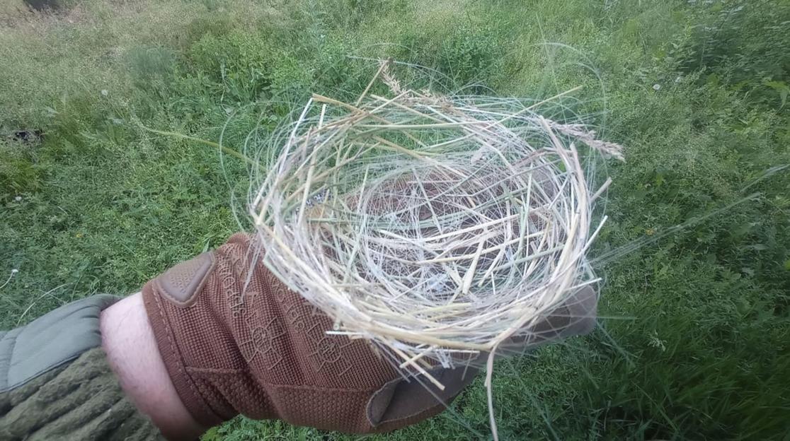 Fiber-optic cable nests built by birds