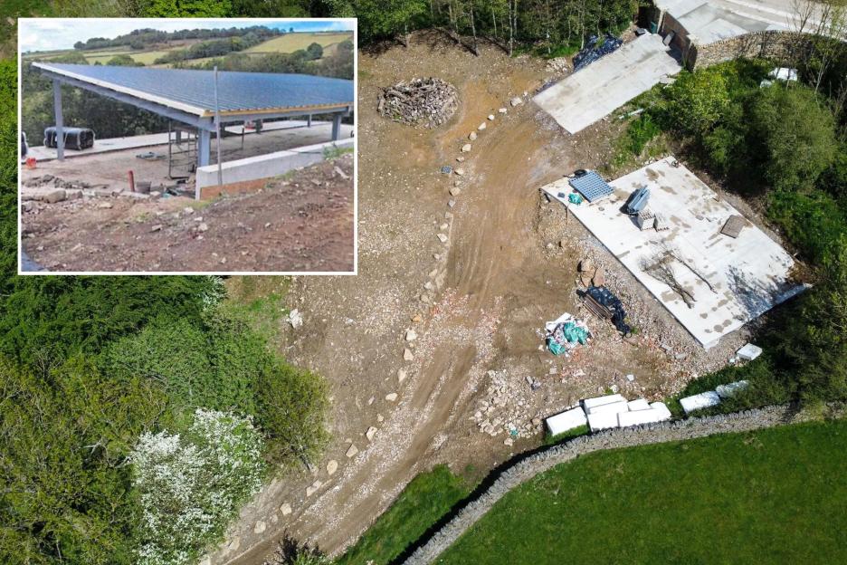 Ancient Woodland Controversy: Holiday Homes Set for Demolition After 300 Trees Cut Down