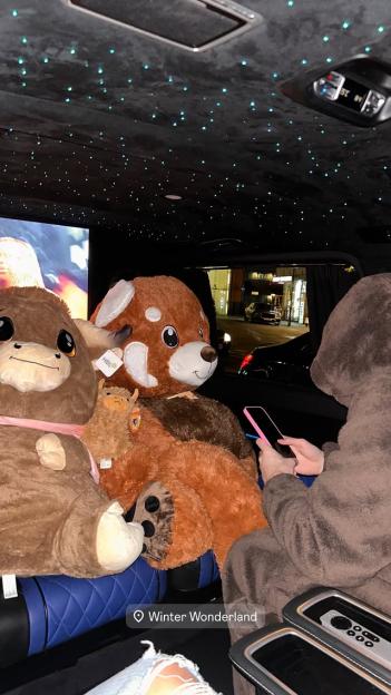 NINTCHDBPICT001046830848