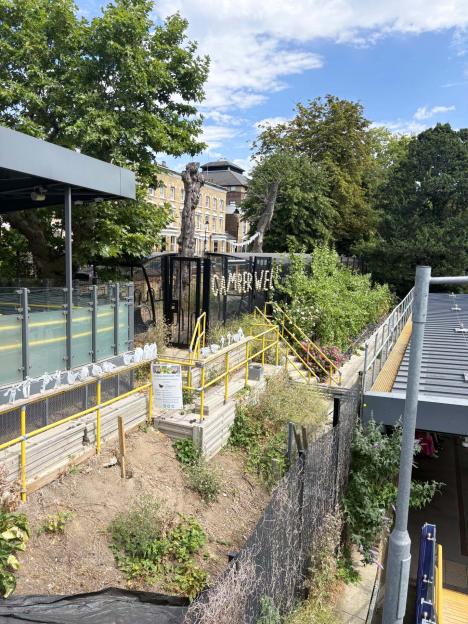 A view of the Chateau Denmark Hill vineyard at an urban railway station.