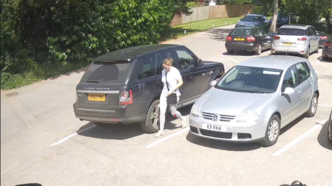 NINTCHDBPICT000703702613