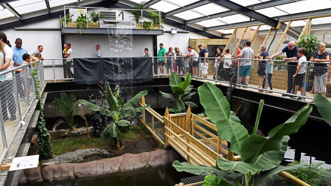Boy, three, 'critical' after crocodile mauling at zoo as man arrested