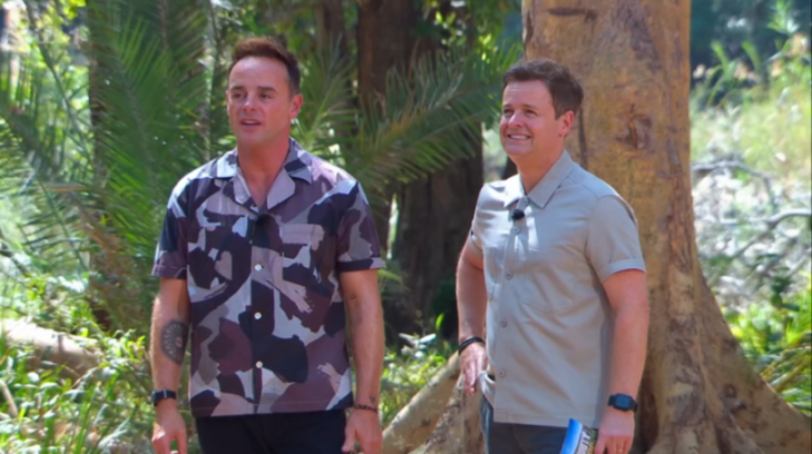 Ant and Dec smiling in a jungle setting.