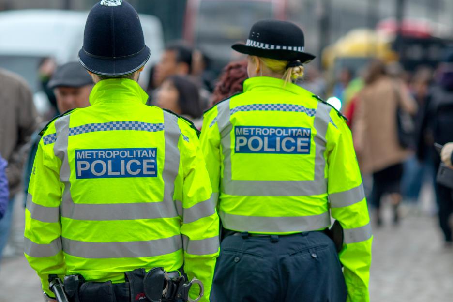 Two Metropolitan Police officers in high-visibility jackets from behind, facing a crowd in Westminster.