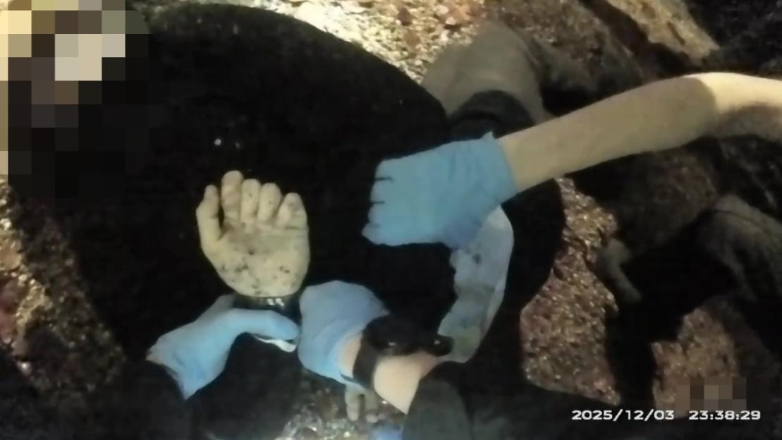 Body-worn camera footage of police officers wearing blue gloves, restraining a suspect who is lying on the ground.