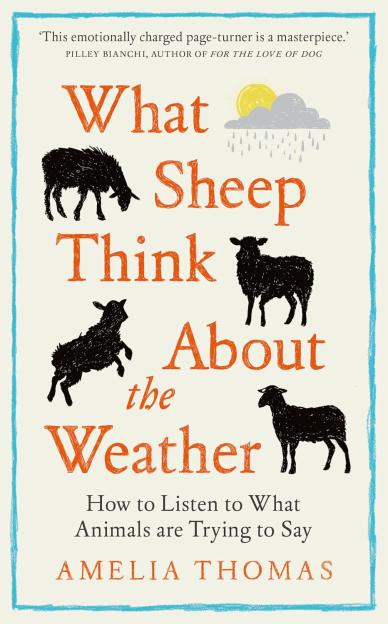 Book cover for "What Sheep Think About the Weather" by Amelia Thomas, featuring an illustration of sheep and a sun peeking out from behind a rainy cloud.