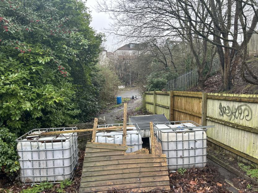 NINTCHDBPICT001060486690