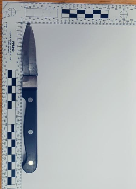 A black-handled knife with a silver blade lies on a white surface next to a ruler marked in millimeters.