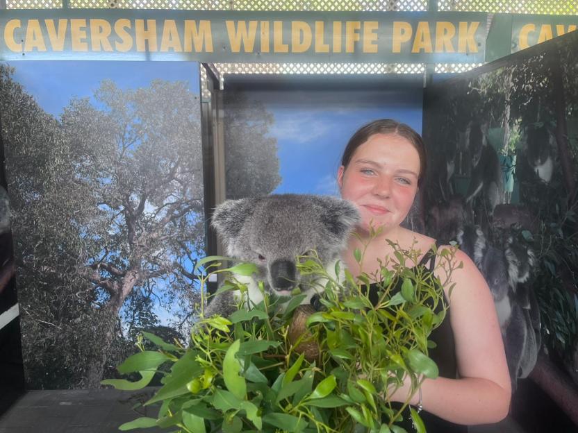 NINTCHDBPICT000941444987