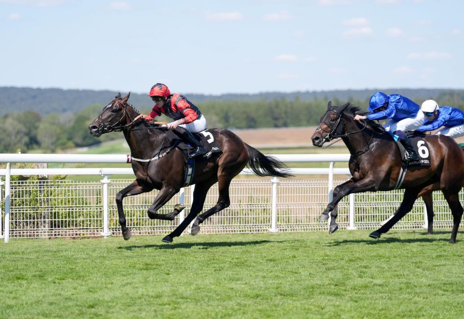 Clifford Lee riding Shayem (left) to win the HKJC World Pool Thoroughbred Stakes (Group 3).