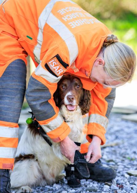 A person in an orange rescue suit puts a shoe on a brown and white dog's paw.