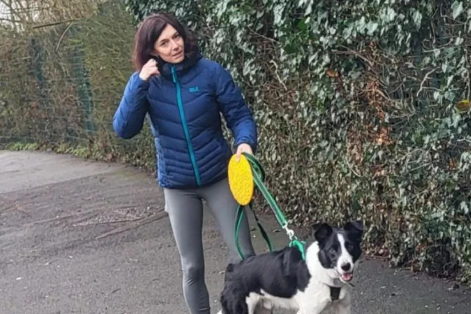 Woman in Her 50s Attacked by Dog While Running Near School; Police Seek Help Identifying Owner