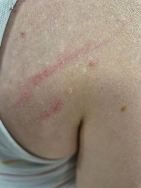 VIDEO: Business owner clipped by van in¿hit-and-run by thieves who targeted premises