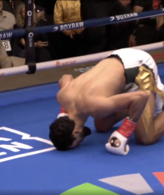 A boxer on his hands and knees in the boxing ring.
