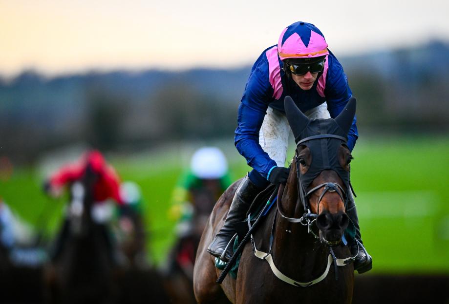 'Willie Mullins Withdraws Kopek Des Bordes from Dublin Racing Festival, Leaving Fans Heartbroken'