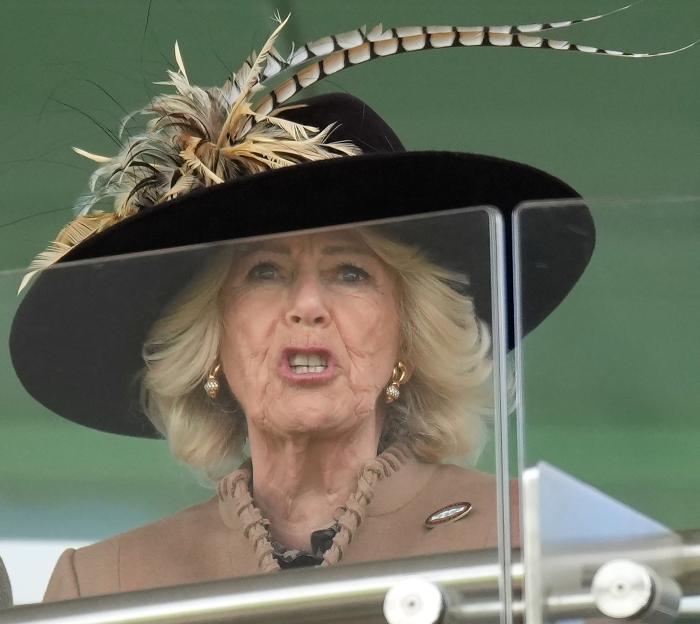 Queen Camilla, wearing a large black hat with feathers and a beige jacket, cheers on the racing.