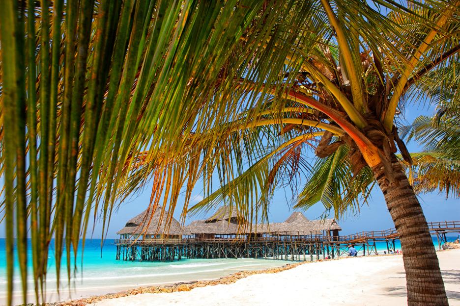 Tropical beach scene with overwater bungalows viewed through palm fronds.