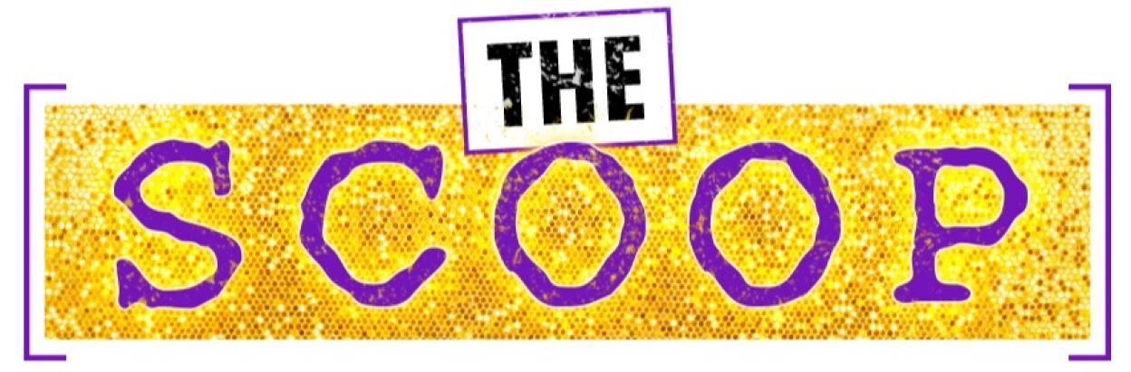 Robbie Williams Reveals Steamy Encounters with Two Spice Girls and a Take That Member, Plus a Shocking Hotel Bed Confession!