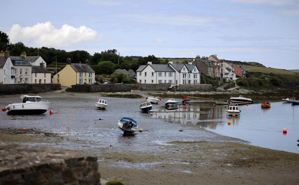 NINTCHDBPICT001040973684