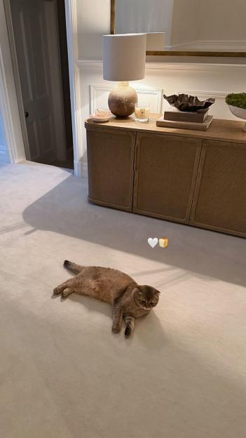 NINTCHDBPICT001059793300